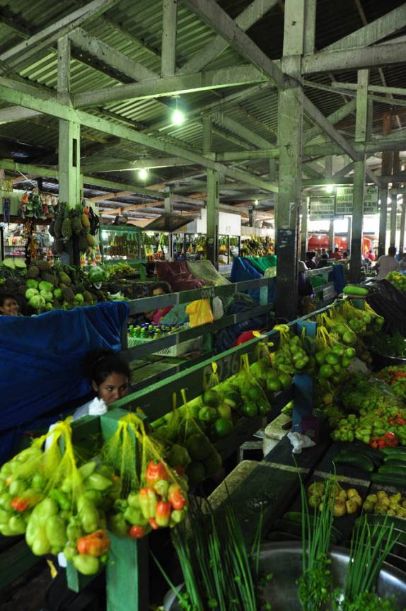 Visita ao movimentado mercado de Tefé, no Amazonas